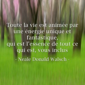 Toute-la-vie-est-anime