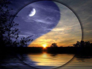 neale-walsch-cycles-de-la-vie