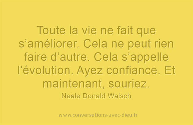Affichez les images