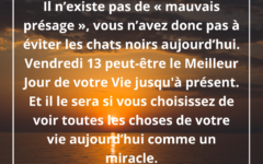 mauvais-presage-vendredi-chat