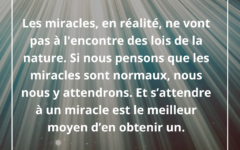 miracle-nature-normal-attente