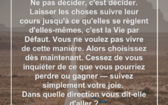 decider-vie-defaut-joie