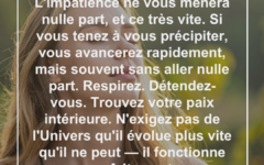 impatience-precipiter-patience-paix