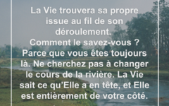 vie-issue-processus-confiance