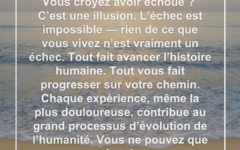 echec-illusion-reussite-evolution