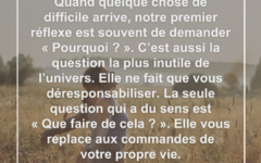 « Pourquoi ? » est la plus inutile des questions dans l’univers pourquoi-inutile-agir-maintenant