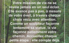Vous découvrez votre chemin pas à pas, jamais en un seul éclair mission-vie-petites-etapes