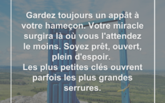 appat-hamecon-miracle-pret