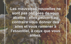 mauvaises-nouvelles-donner-ailes